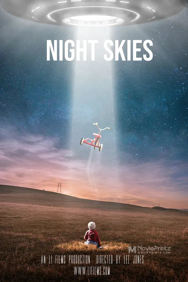 Night Skies Poster