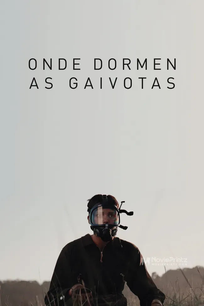 Onde dormen as gaivotas Poster