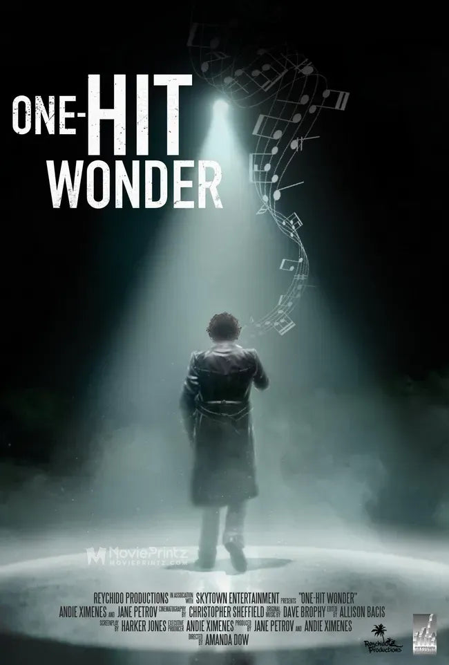 One-Hit Wonder Poster