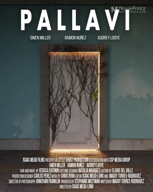 Pallavi Poster