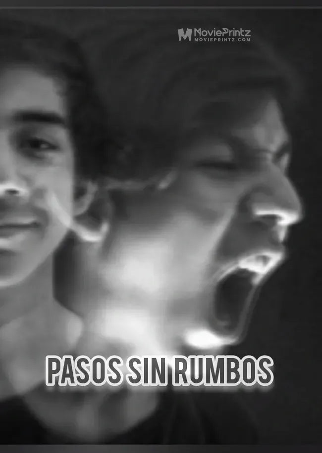 Pasos sin rumbos Poster