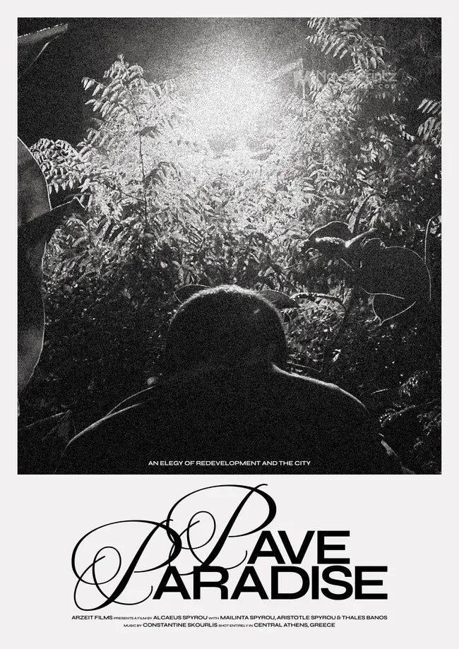 Pave Paradise Poster
