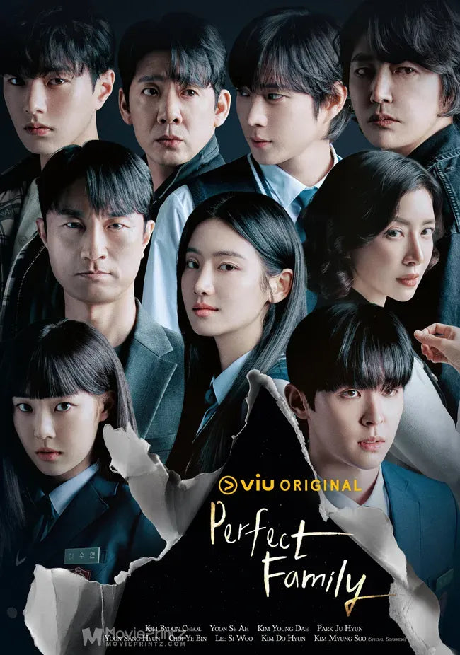 Perfect Family Poster