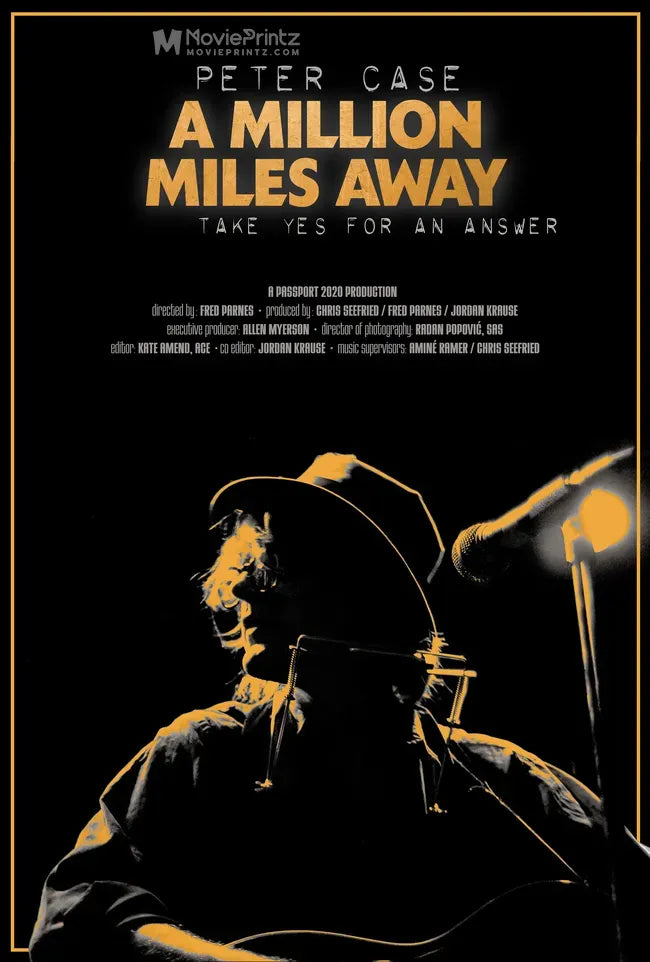 Peter Case: A Million Miles Away Poster