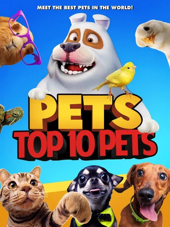 Pets: Top 10 Pets Poster