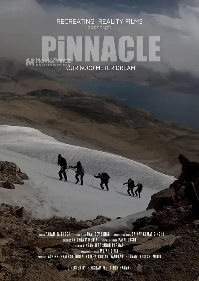 Pinnacle Poster