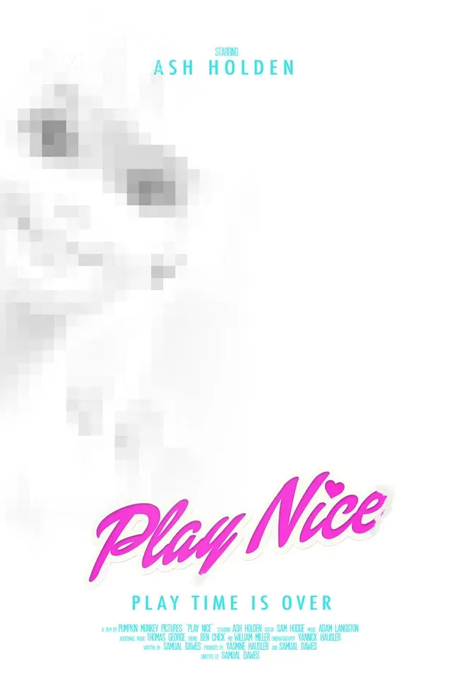 Play Nice Poster