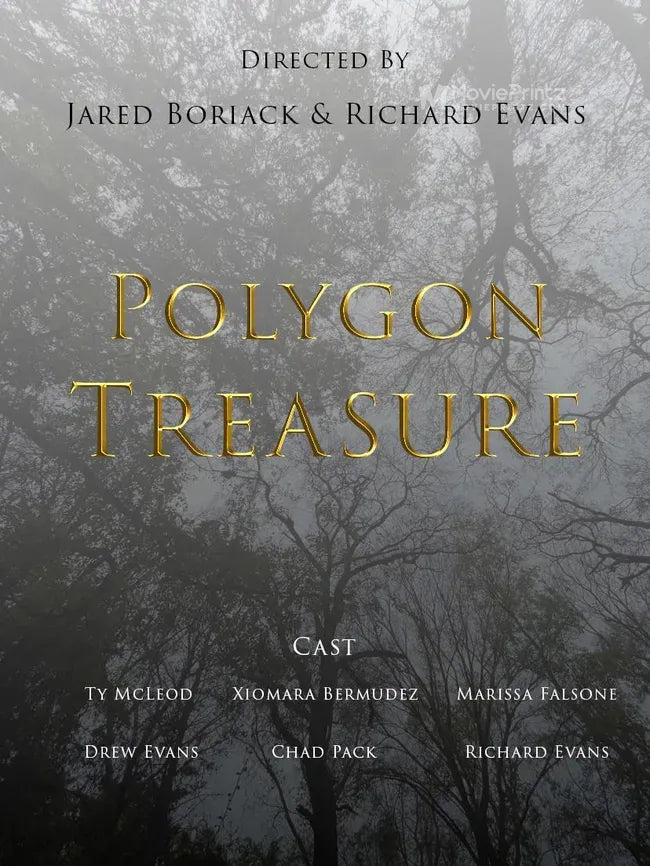 Polygon Treasure Poster