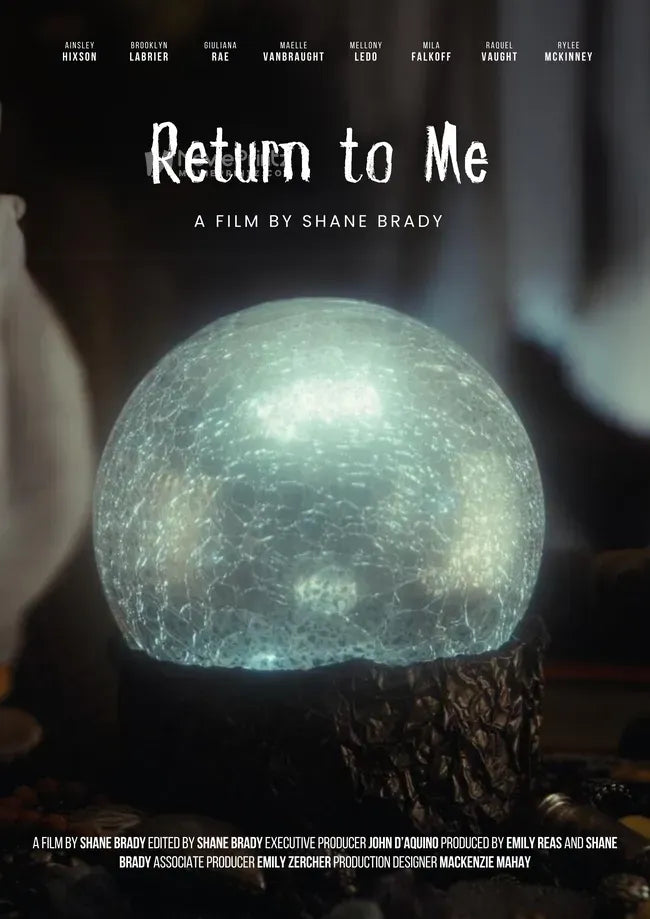 Return to Me Poster