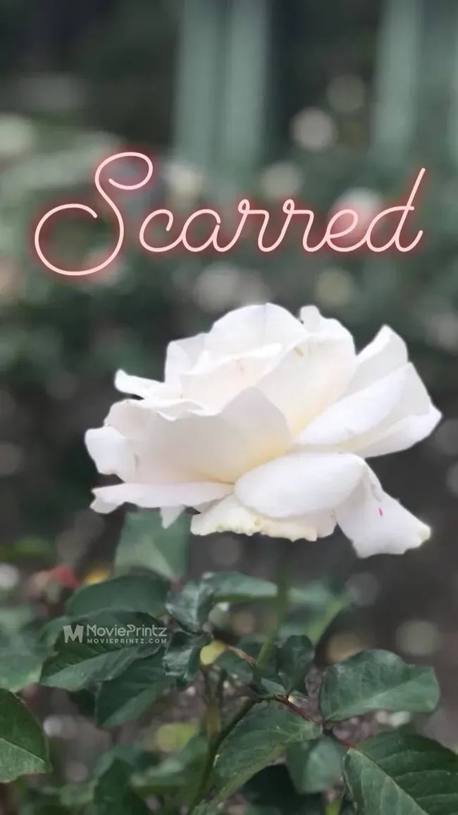 Scarred Poster