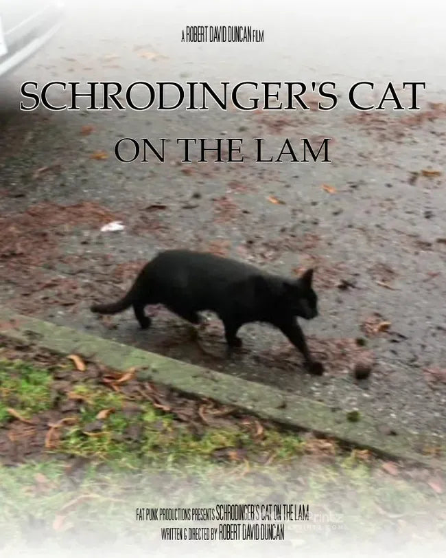 Schrodinger's Cat on the Lam Poster