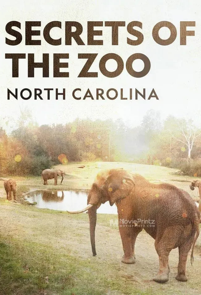 Secrets of the Zoo: North Carolina Poster