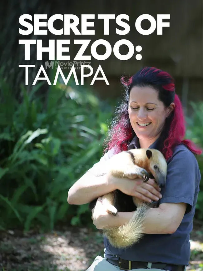 Secrets of the Zoo: Tampa Poster