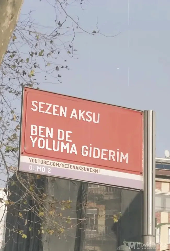 Sezen Aksu: Ben De Yoluma Giderim Poster