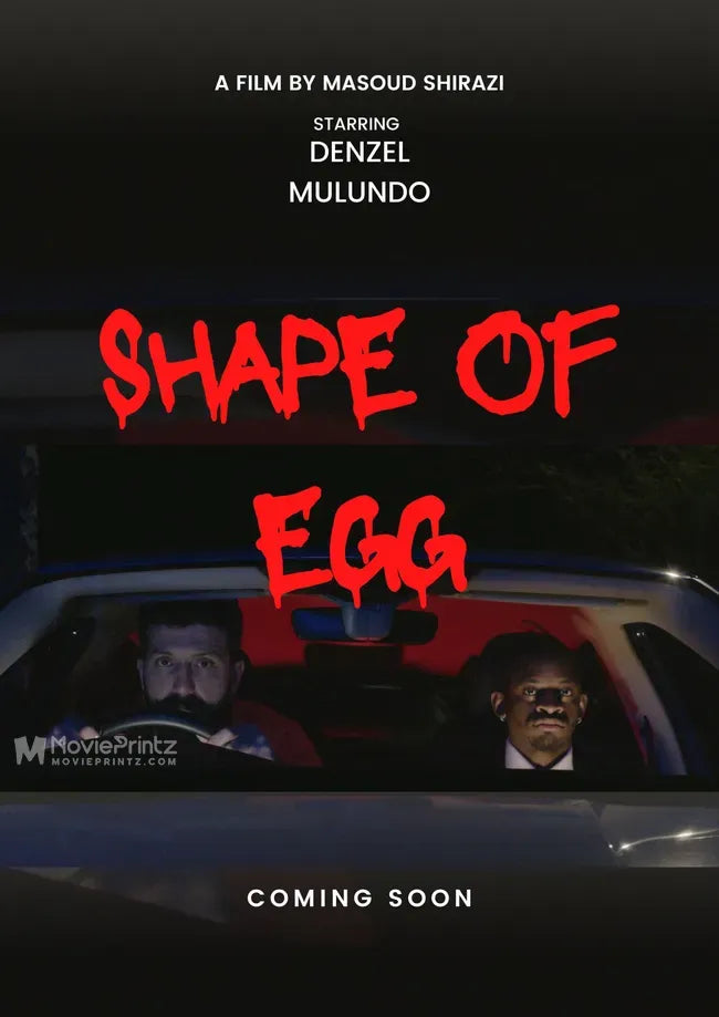 Shape of Egg Poster