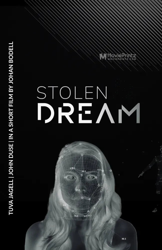 Stolen Dream Poster