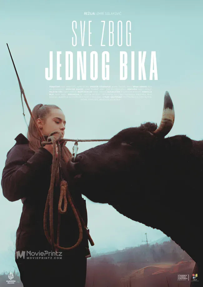 Sve zbog jednog bika Poster