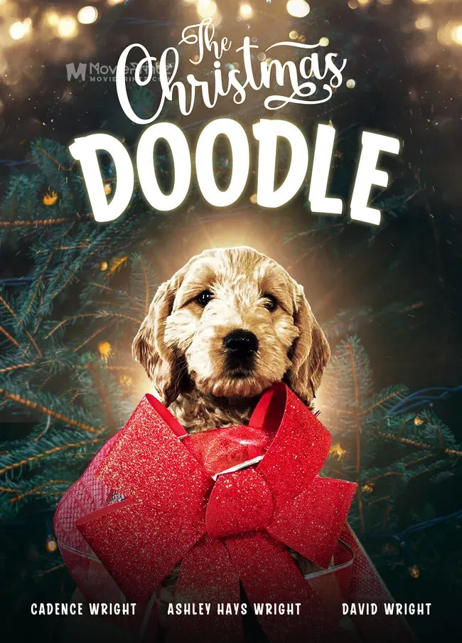 The Christmas Doodle Poster