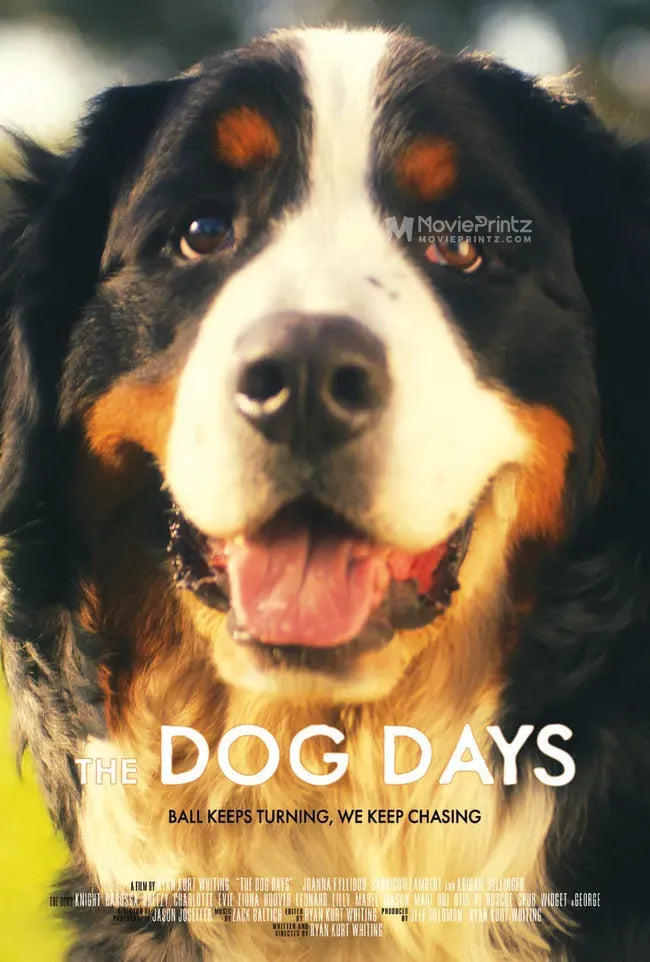 The Dog Days Poster