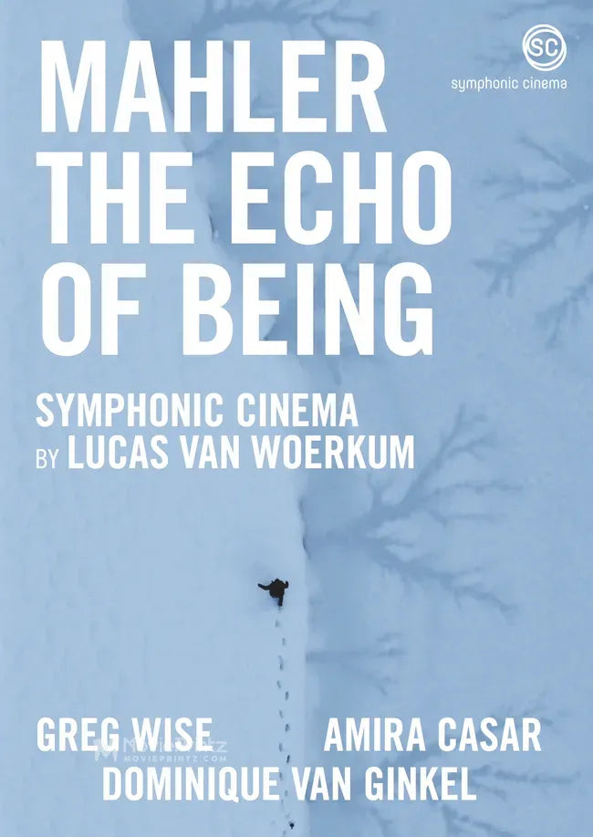 The Echo of Being Poster