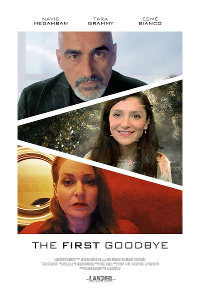 The First Goodbye Poster