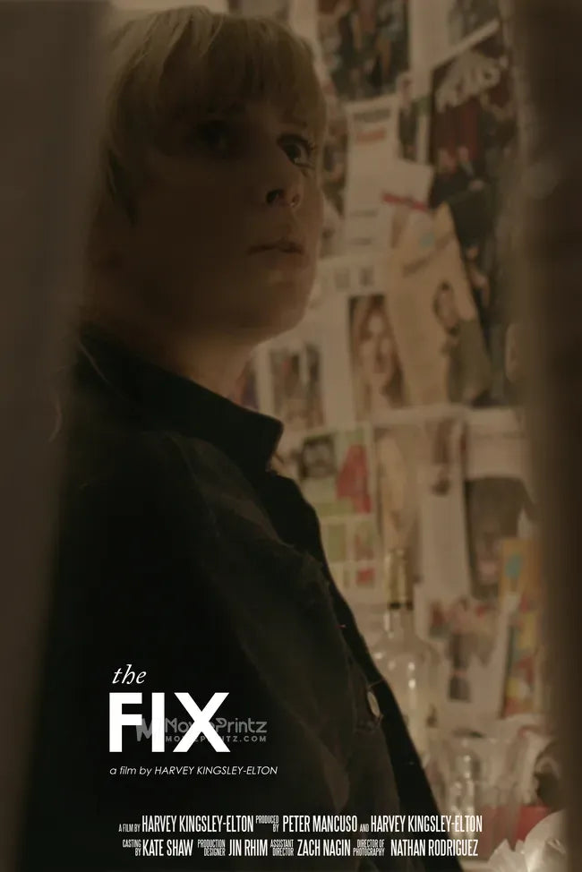 The Fix Poster