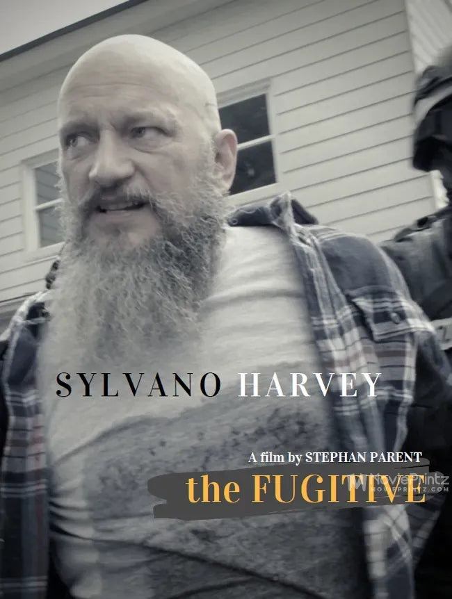 The Fugitive Poster