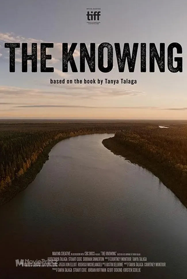 The Knowing Poster