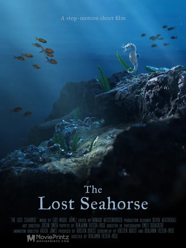 The Lost Seahorse Poster