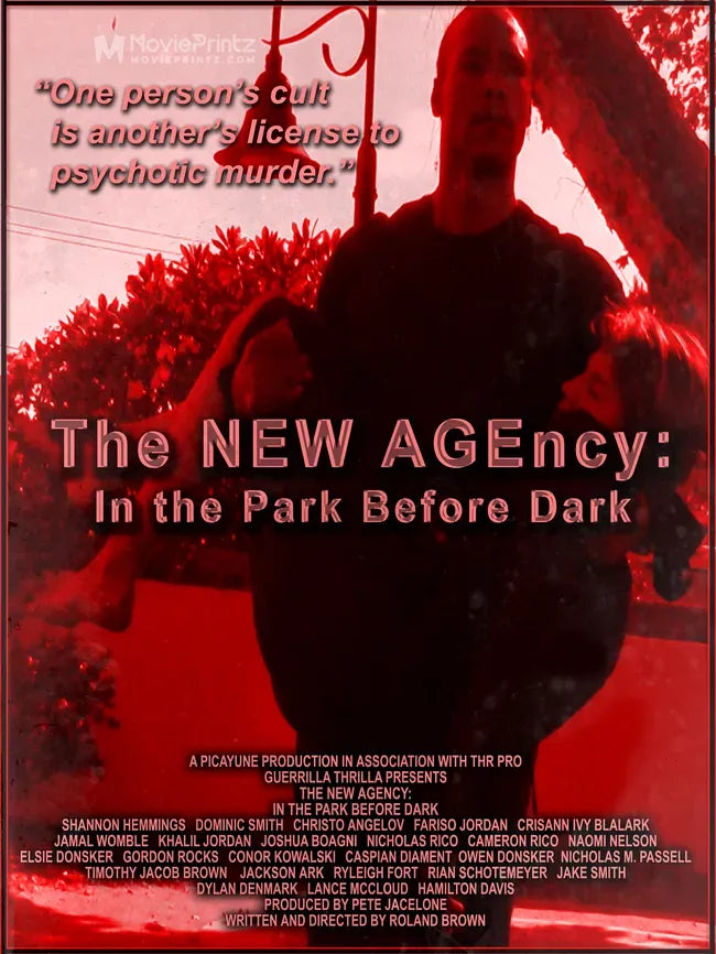 The NEW AGEncy: In the Park Before Dark Poster