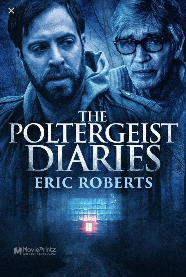 The Poltergeist Diaries Poster