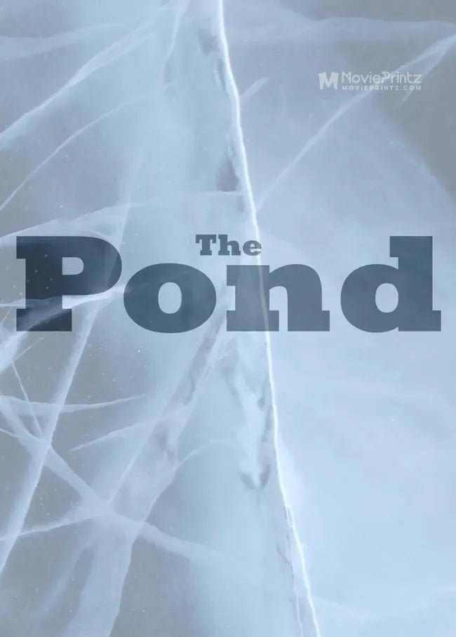 The Pond Poster