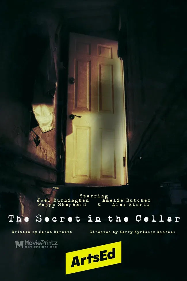 The Secret in the Cellar Poster