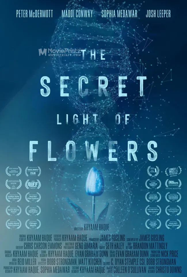 The Secret Light of Flowers Poster