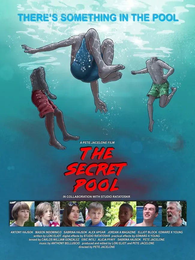 The Secret Pool Poster