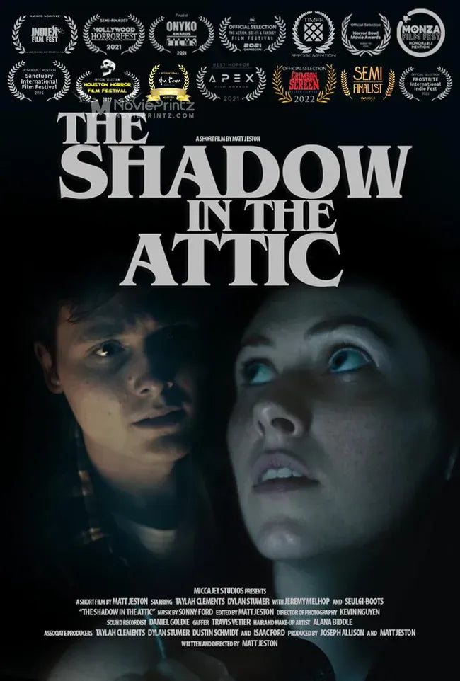 The Shadow in the Attic Poster