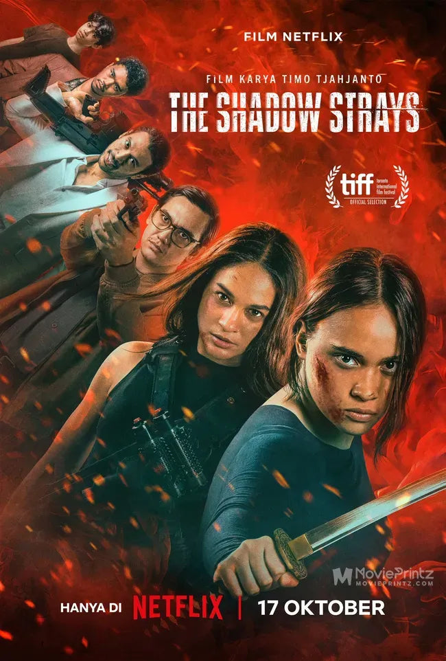 The Shadow Strays Poster