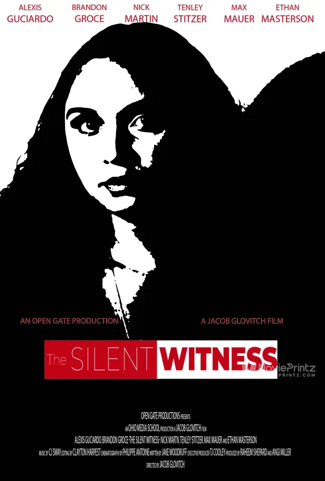 The Silent Witness Poster