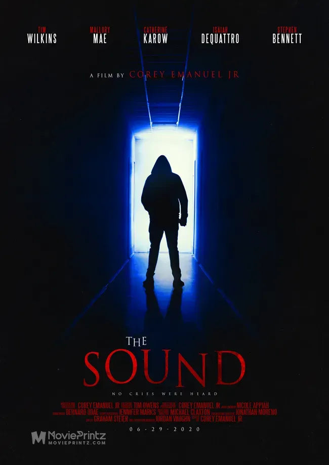 The Sound Poster