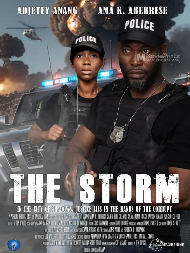 The Storm Poster