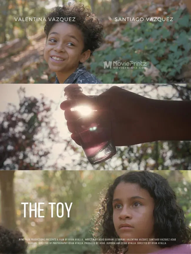 The Toy Poster