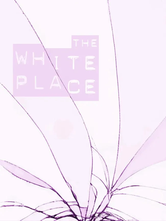 The White Place Poster