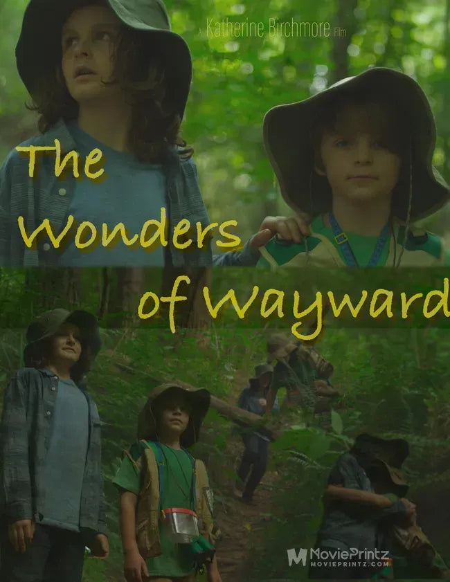 The Wonders of Wayward Poster