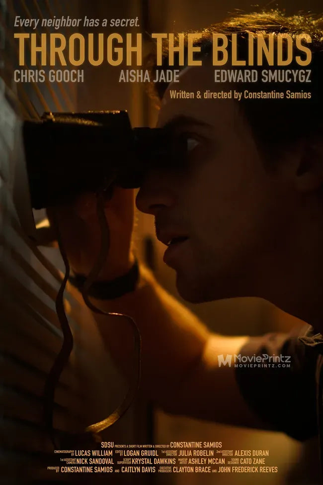 Through the Blinds Poster