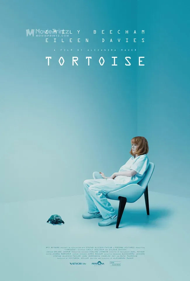 Tortoise Poster