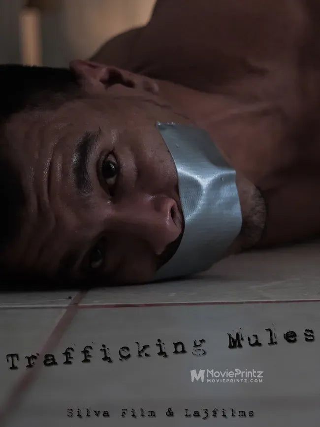 Trafficking Mules Poster