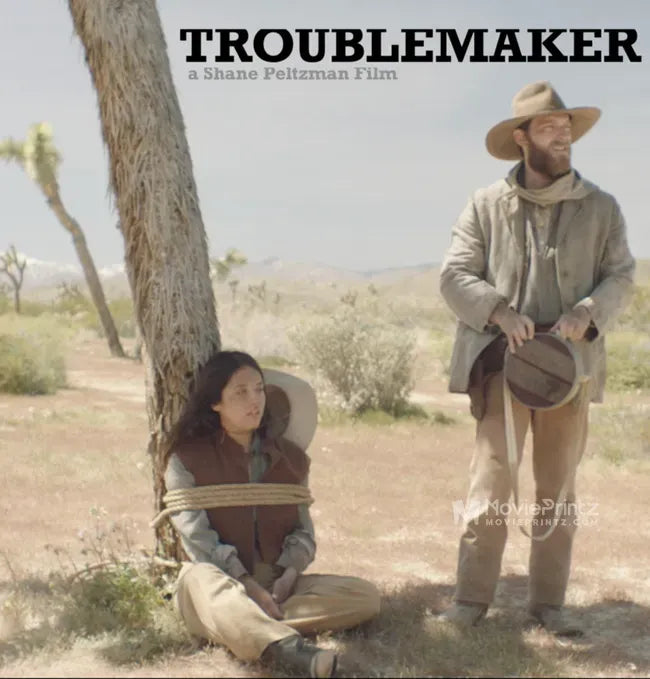 Troublemaker Poster