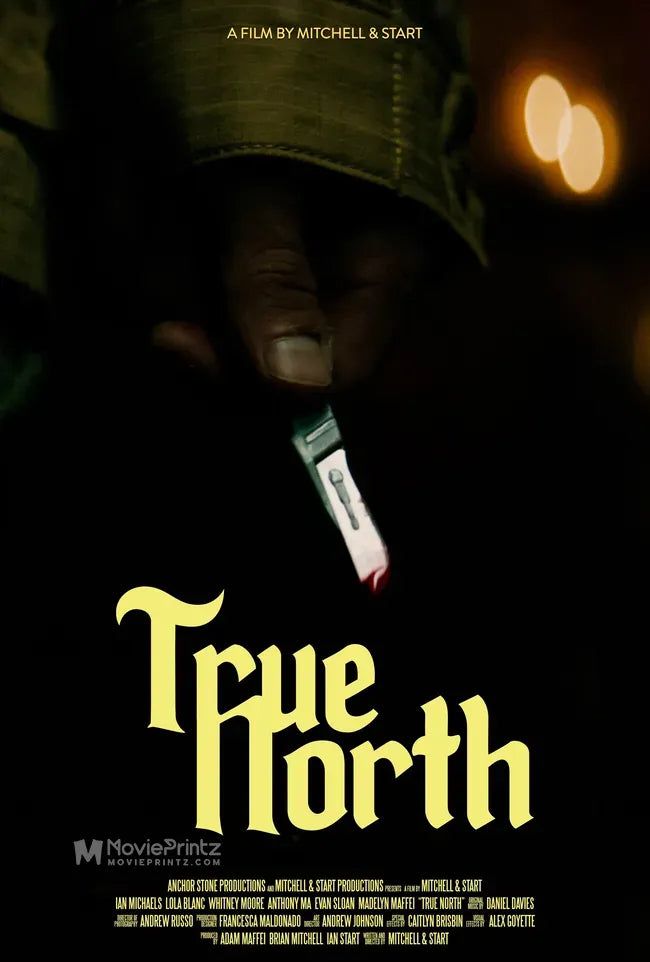 True North Poster