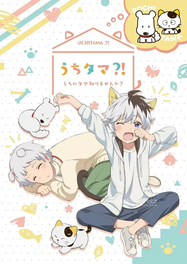 Uchi Tama?! Uchi no Tama Shirimasen ka? Poster