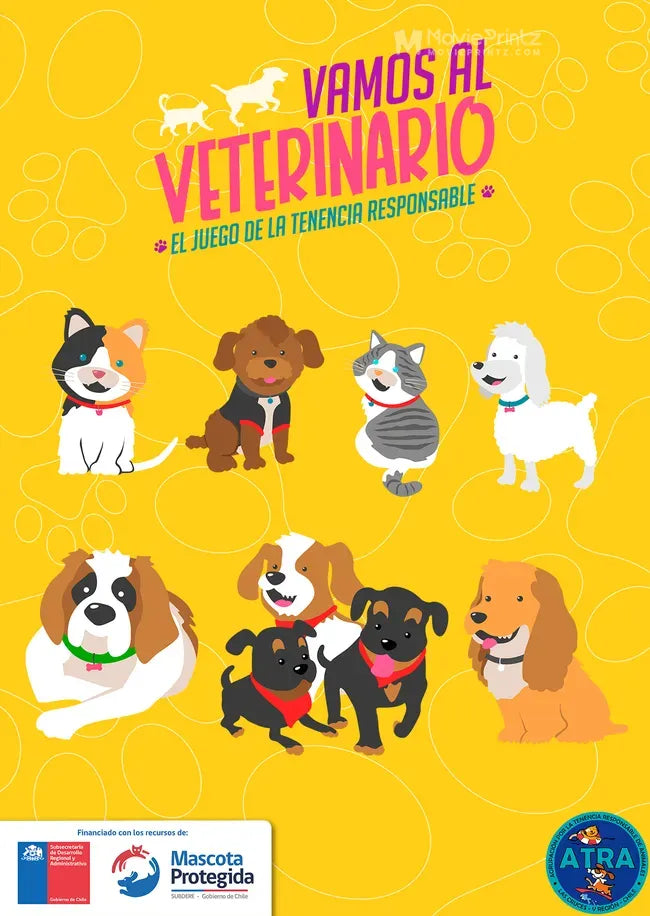 ¡Vamos al veterinario! Poster